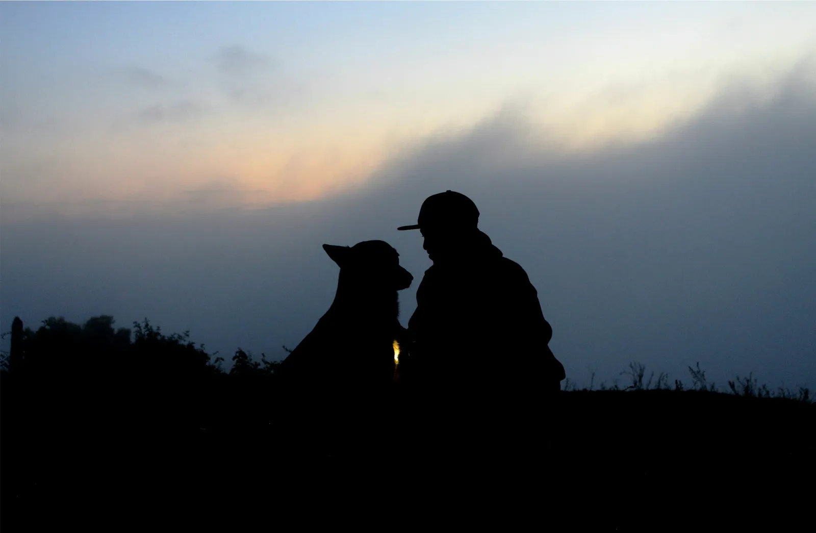 Dogz